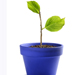 Deloitte Image